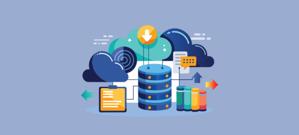 VPS or VDS? Which Is the Rig...