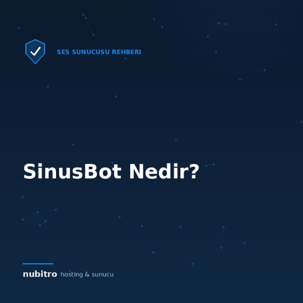 SinusBot Nedir? TS3 Müzik Botu Kurulum ve Kullanım Rehberi